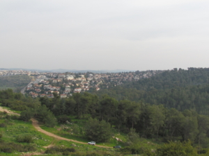 מגרש למכירה באורנית